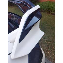 Maxton - RAJOUT LATÉRALE DU BECQUET HONDA CIVIC X TYPE R Noir Brillant Maxton - RAJOUT LATÉRALE DU BECQUET HONDA CIVIC X TYPE R Noir Brillant